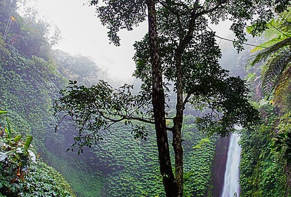 Projects img 07 free img